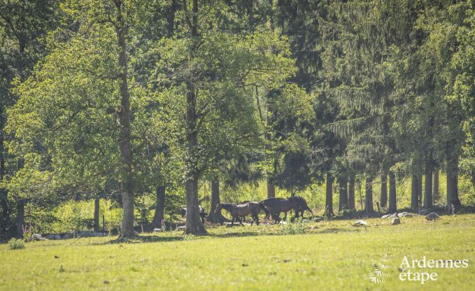 Holiday cottage in Stavelot for 6 persons in the Ardennes