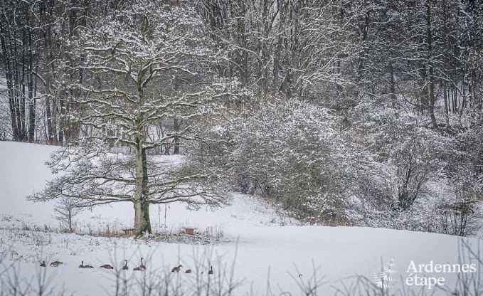 Holiday cottage in Stavelot with jacuzzi and views for 4 persons in the Ardennes
