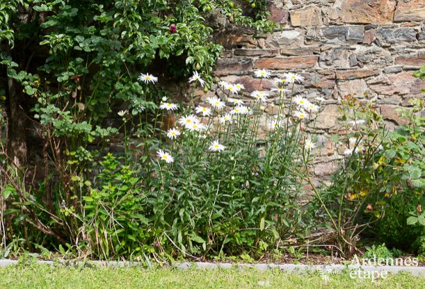 Luxury villa in Stavelot for 14 persons in the Ardennes