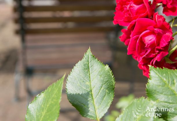 Luxury villa in Stavelot for 14 persons in the Ardennes