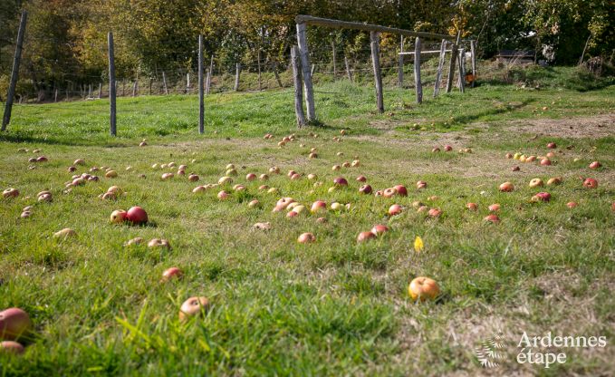 Chalet in Stavelot for 2 persons in the Ardennes