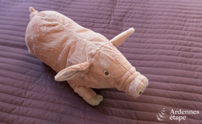 Chalet in Stavelot for 4/6 persons in the Ardennes