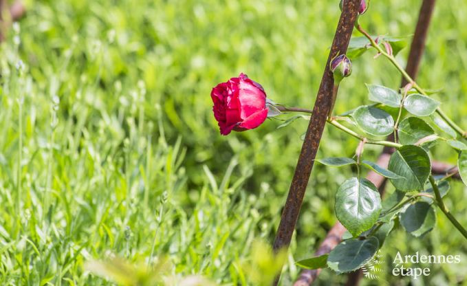 Holiday cottage in Stavelot for 2 persons in the Ardennes