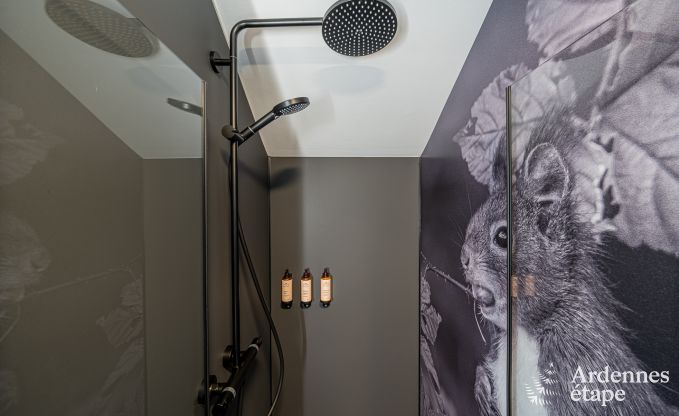 Holiday cottage in Tenneville for 10 persons in the Ardennes