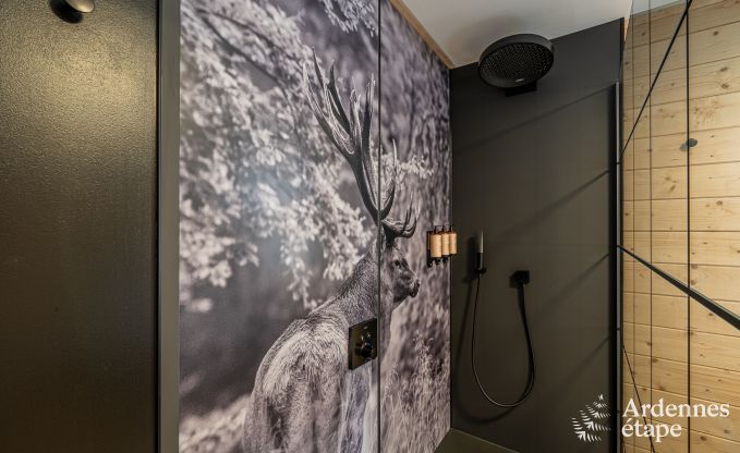 Holiday cottage in Tenneville for 10 persons in the Ardennes