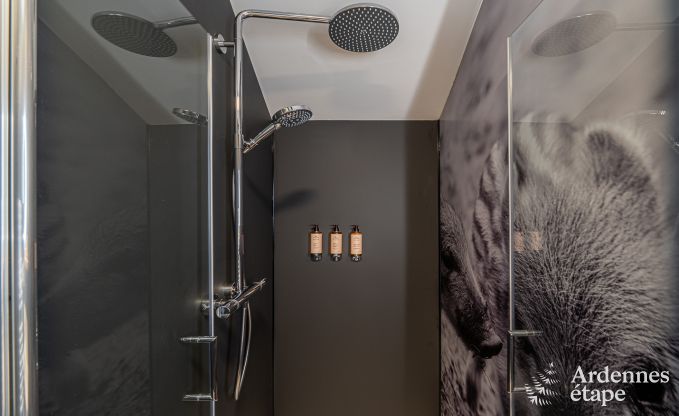 Holiday cottage in Tenneville for 10 persons in the Ardennes