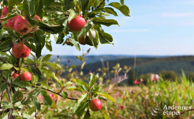 Holiday cottage in Theux (Spa) for 2 persons in the Ardennes