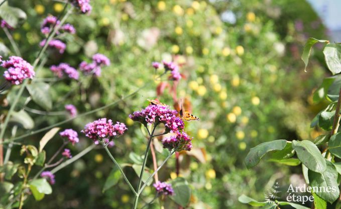 Holiday cottage in Theux (Spa) for 2 persons in the Ardennes