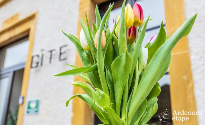 Holiday cottage in Torgny for 15 persons in the Ardennes