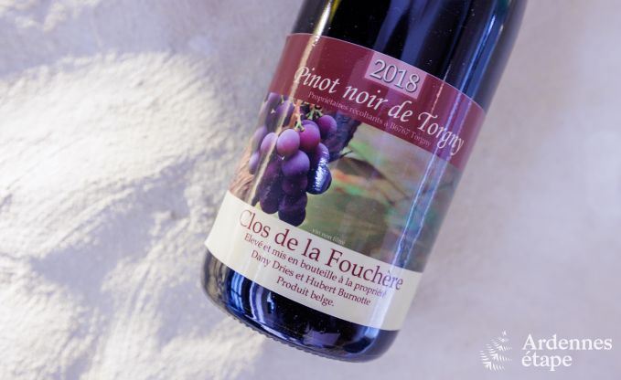 Holiday cottage in Torgny for 6/8 persons in the Ardennes