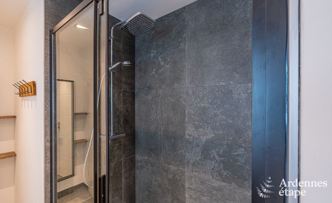 Luxury villa in Torgny for 10 persons in the Ardennes