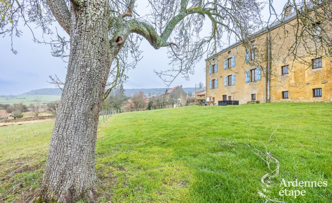 Holiday cottage in Torgny for 15 persons in the Ardennes