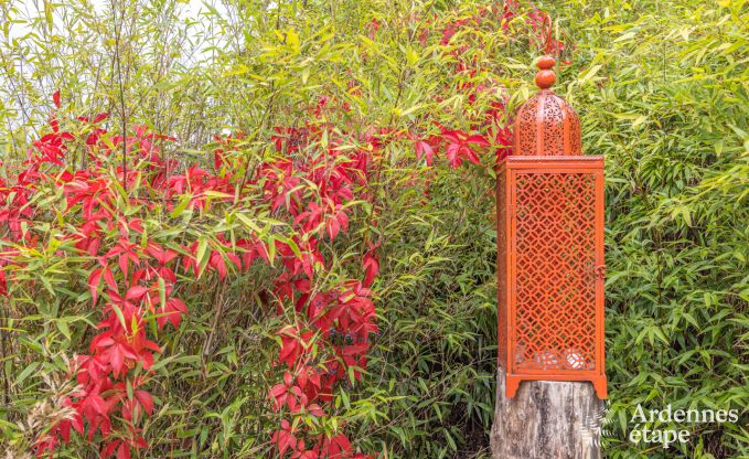 Holiday cottage in Torgny for 22 persons in the Ardennes