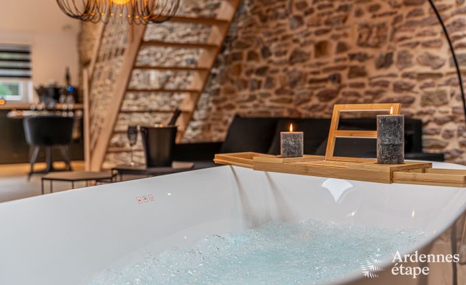 Charming holiday suite with sauna in Trois-Ponts