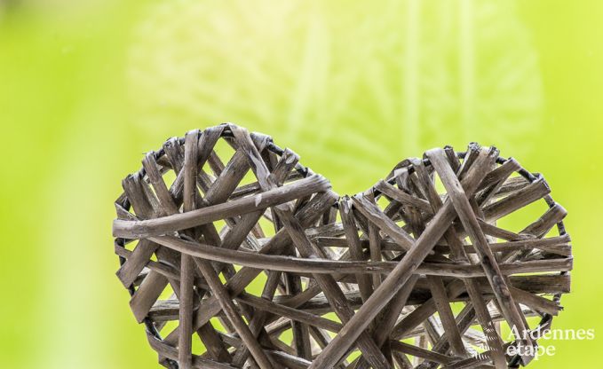 Chalet in Trois-Ponts for 4 persons in the Ardennes