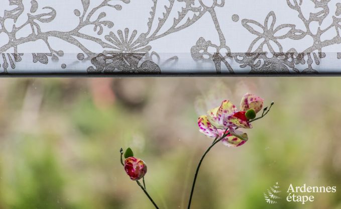 Chalet in Trois-Ponts for 4 persons in the Ardennes