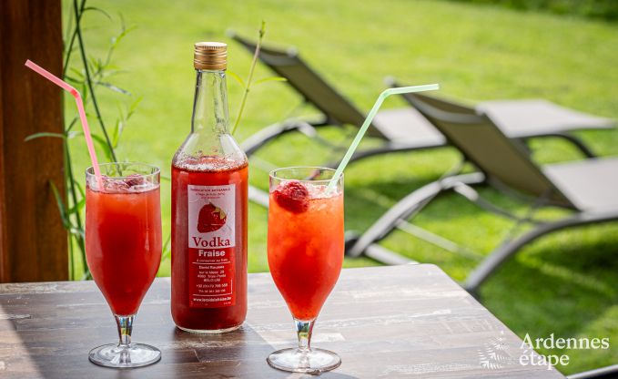 Chalet in Trois-Ponts for 2/4 persons in the Ardennes