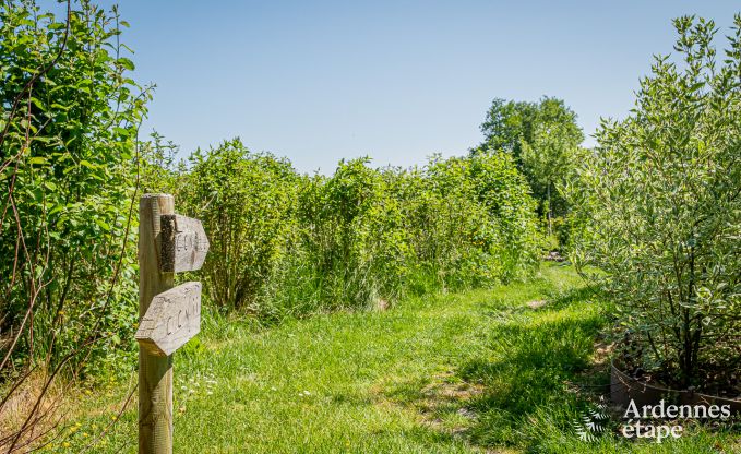 Exceptional in Vaux-sur-Sure for 2 persons in the Ardennes