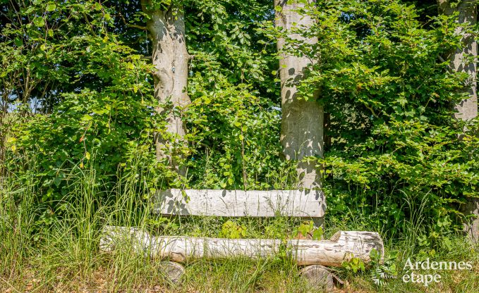 Exceptional in Vaux-sur-Sure for 2 persons in the Ardennes