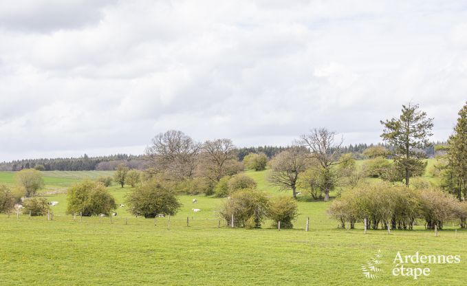 Apartment in Vaux-sur-Sre for 2 persons in the Ardennes