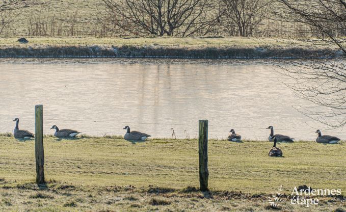 Holiday cottage in Vaux-sur-Sre for 8 persons in the Ardennes