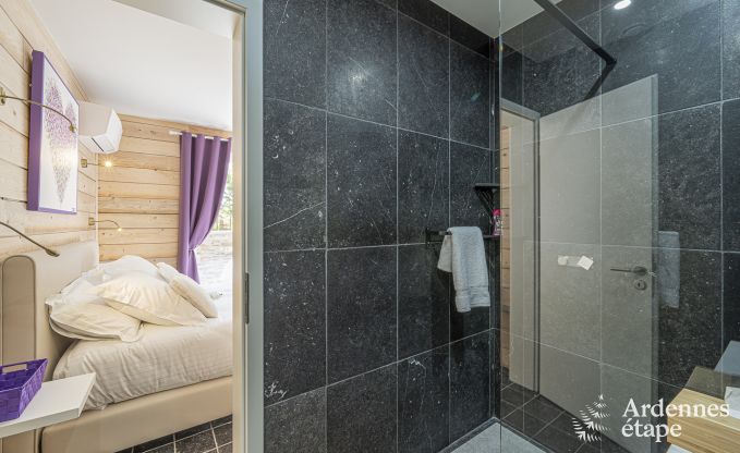 Luxury villa in Vaux-sur-sre for 12 persons in the Ardennes