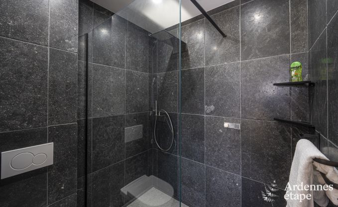 Luxury villa in Vaux-sur-sre for 12 persons in the Ardennes