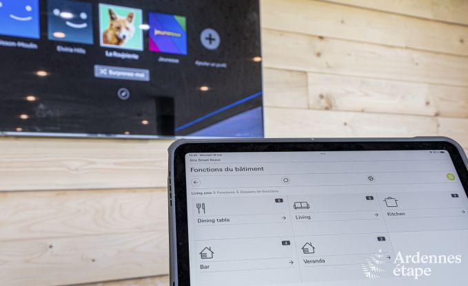 Luxury villa in Vaux-sur-sre for 12 persons in the Ardennes