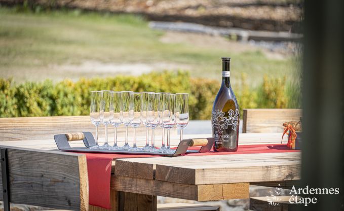 Luxury villa in Vaux-sur-sre for 12 persons in the Ardennes