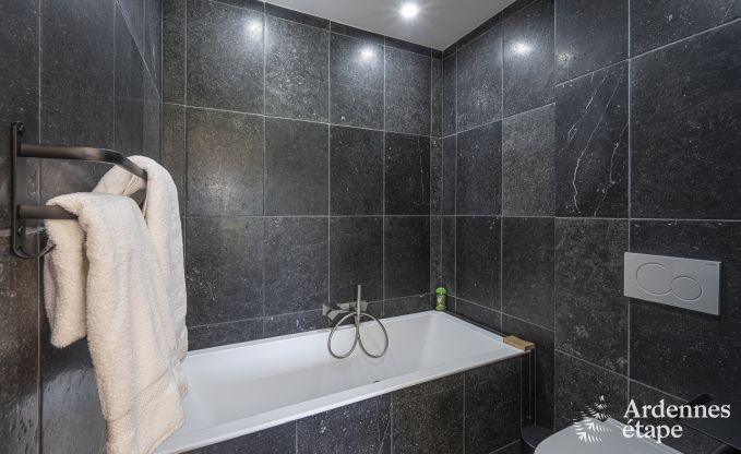 Luxury villa in Vaux-sur-sre for 12 persons in the Ardennes