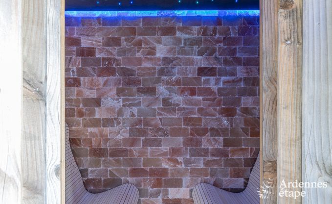 Luxury villa in Vaux-sur-sre for 12 persons in the Ardennes