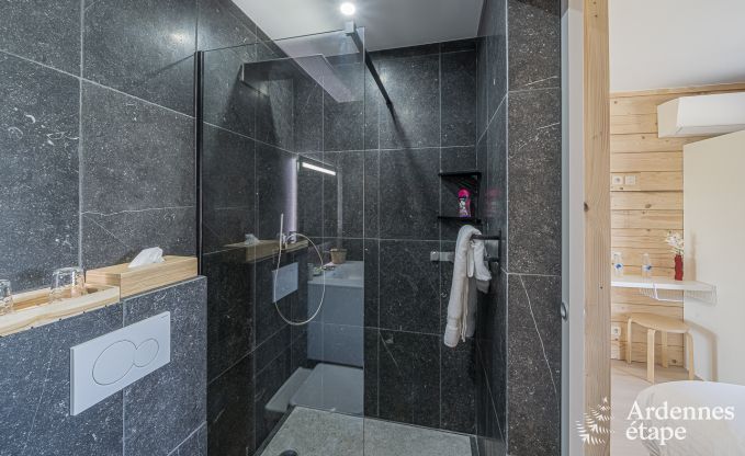 Luxury villa in Vaux-sur-sre for 12 persons in the Ardennes