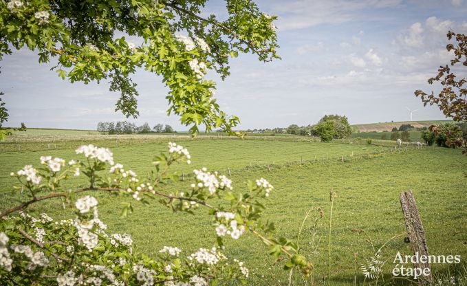 Luxury villa in Vaux-sur-sre for 12 persons in the Ardennes