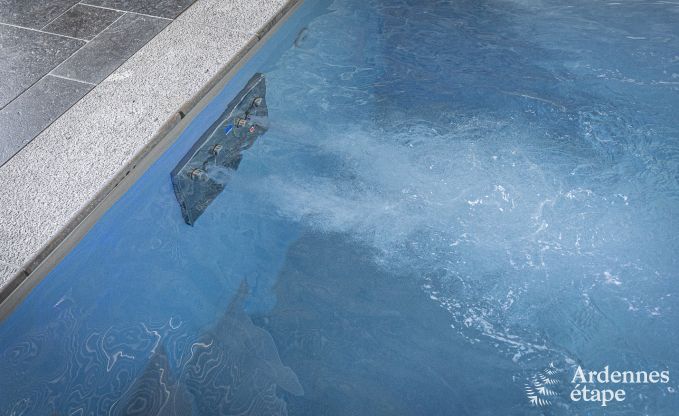 Luxury villa in Vaux-sur-sre for 12 persons in the Ardennes