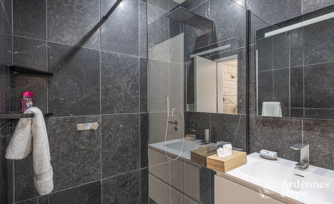 Luxury villa in Vaux-sur-sre for 12 persons in the Ardennes