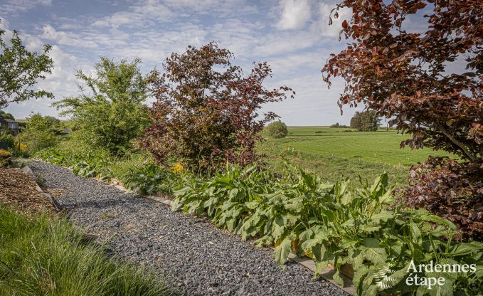 Luxury villa in Vaux-sur-sre for 12 persons in the Ardennes