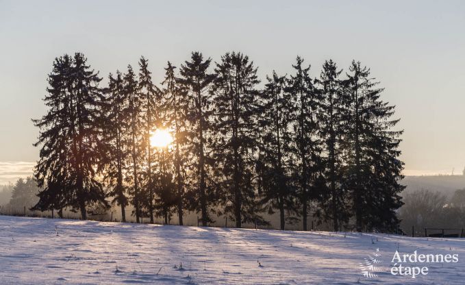 Chalet in Vielsalm for 4/5 persons in the Ardennes