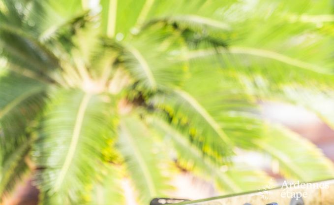 Chalet in Vielsalm for 4/5 persons in the Ardennes