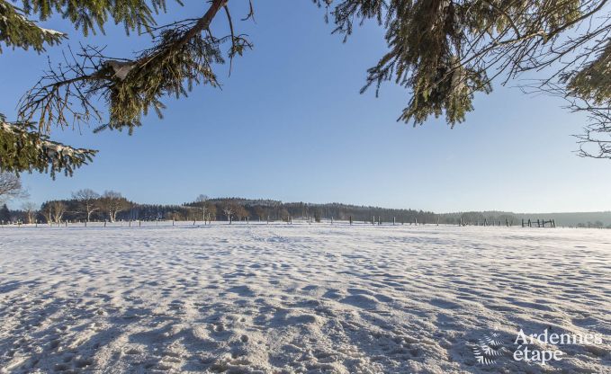 Chalet in Vielsalm for 4/5 persons in the Ardennes