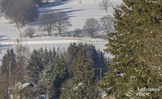Chalet in Vielsalm for 4/5 persons in the Ardennes