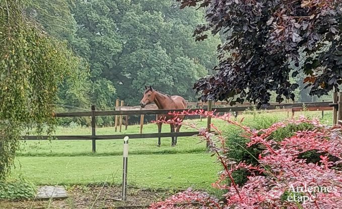 Holiday cottage in Vielsalm for 4/5 persons in the Ardennes