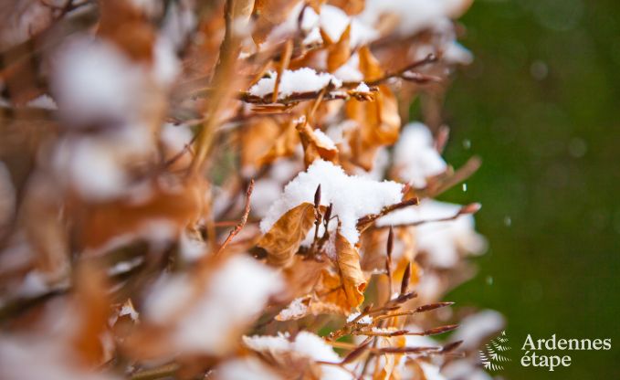 Holiday cottage in Vielsalm for 4/5 persons in the Ardennes