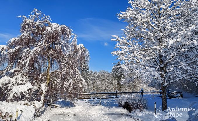 Holiday cottage in Vielsalm for 4/5 persons in the Ardennes