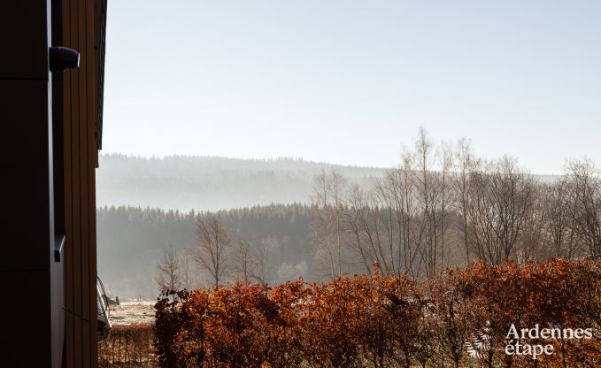 Holiday home for 9 people in Vielsalm, Ardennes