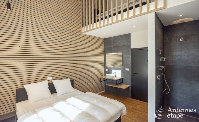 Holiday home for 9 people in Vielsalm, Ardennes