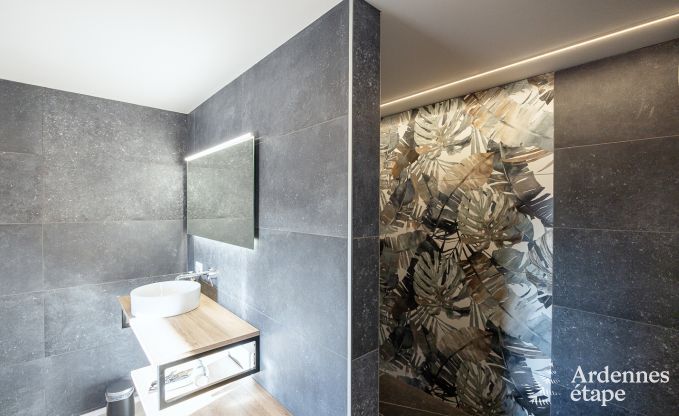 Holiday home for 9 people in Vielsalm, Ardennes