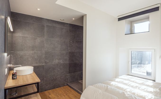 Holiday home for 9 people in Vielsalm, Ardennes