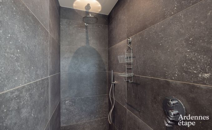 Holiday home for 9 people in Vielsalm, Ardennes