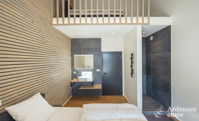 Holiday home for 9 people in Vielsalm, Ardennes