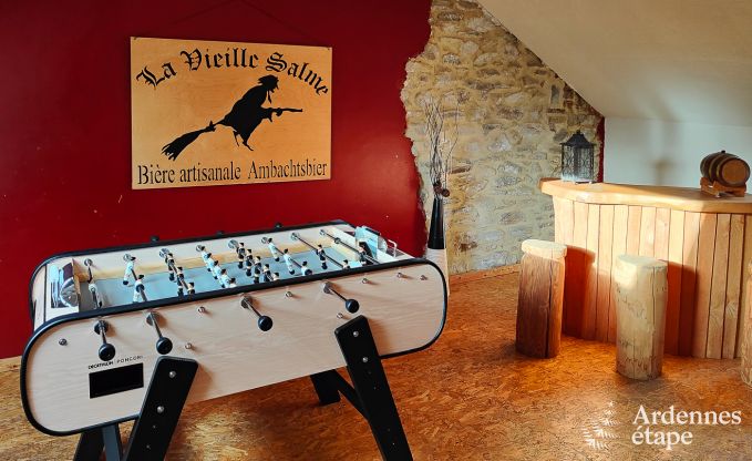 Large holiday home near Vielsalm for 21 people with 7 bedrooms, 4 bathrooms, playroom and private garden